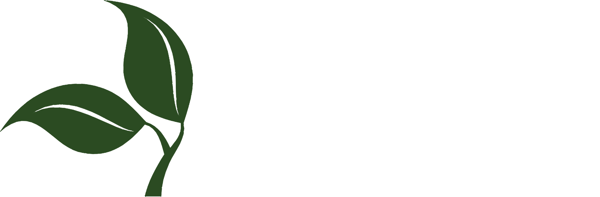 Primex_White_Horizontal_Logo_PNG